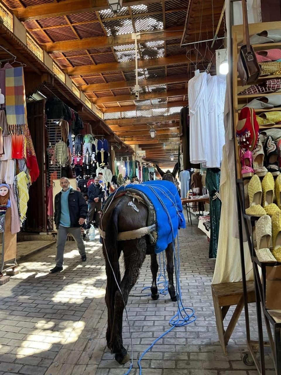 Dar Mima Hotel Fez Buitenkant foto